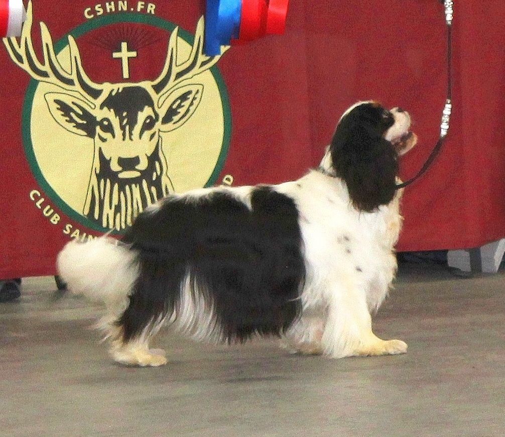 CH. Utopie (Sans Affixe)